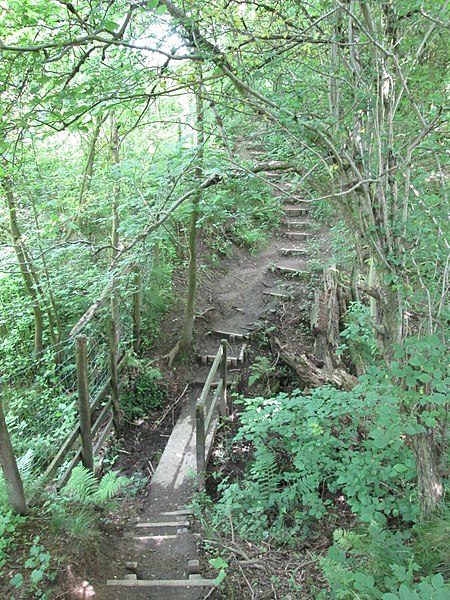 File:Footbridge and steps at Raid Deep Wood - geograph.org.uk - 3551785.jpg