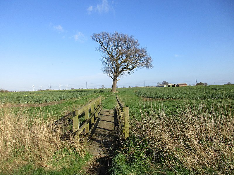 File:Footbridge over Fleet Dike (geograph 5321730).jpg