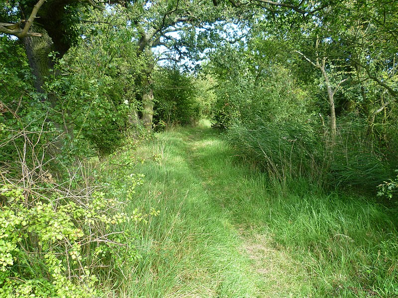 File:Footpath at Higham - geograph.org.uk - 3087655.jpg