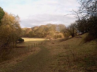 <span class="mw-page-title-main">Bere Mill Meadows</span>