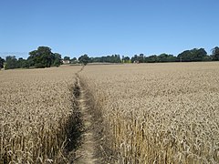 Footpath to Frant - geograph.org.uk - 3632727.jpg