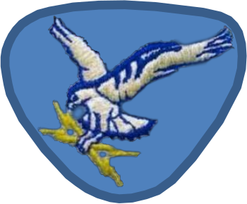 1041st Security Police Squadron Beret Flash, 1967