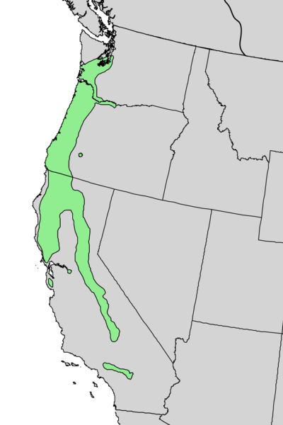 File:Fraxinus latifolia range map 5.png