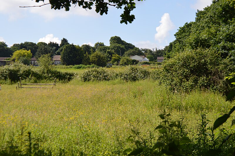 File:Garrold's Meadow.jpg