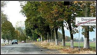 Gheorgheni, Romania - panoramio (64).jpg