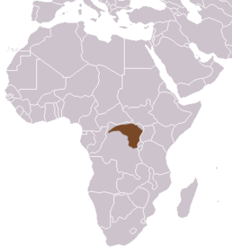 Мапа поширення виду Genetta victoriae