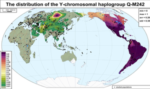 Haplogroup Q-M242