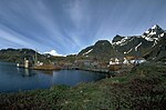 Vignette pour Grytviken