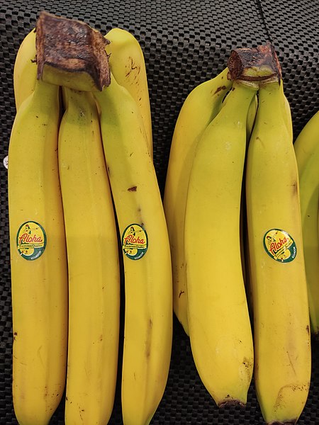 File:HK TKO 將軍澳 Tseung Kwan O 富康花園 Beverly Garden Shopping Centre shop 惠康超級市場 Wellcome Supermarket fruit yellow banana April 2022 Px3 02.jpg