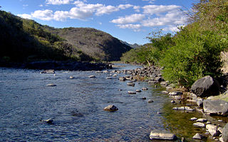 Torola River