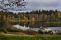 Tsilgutaja järv hobusega