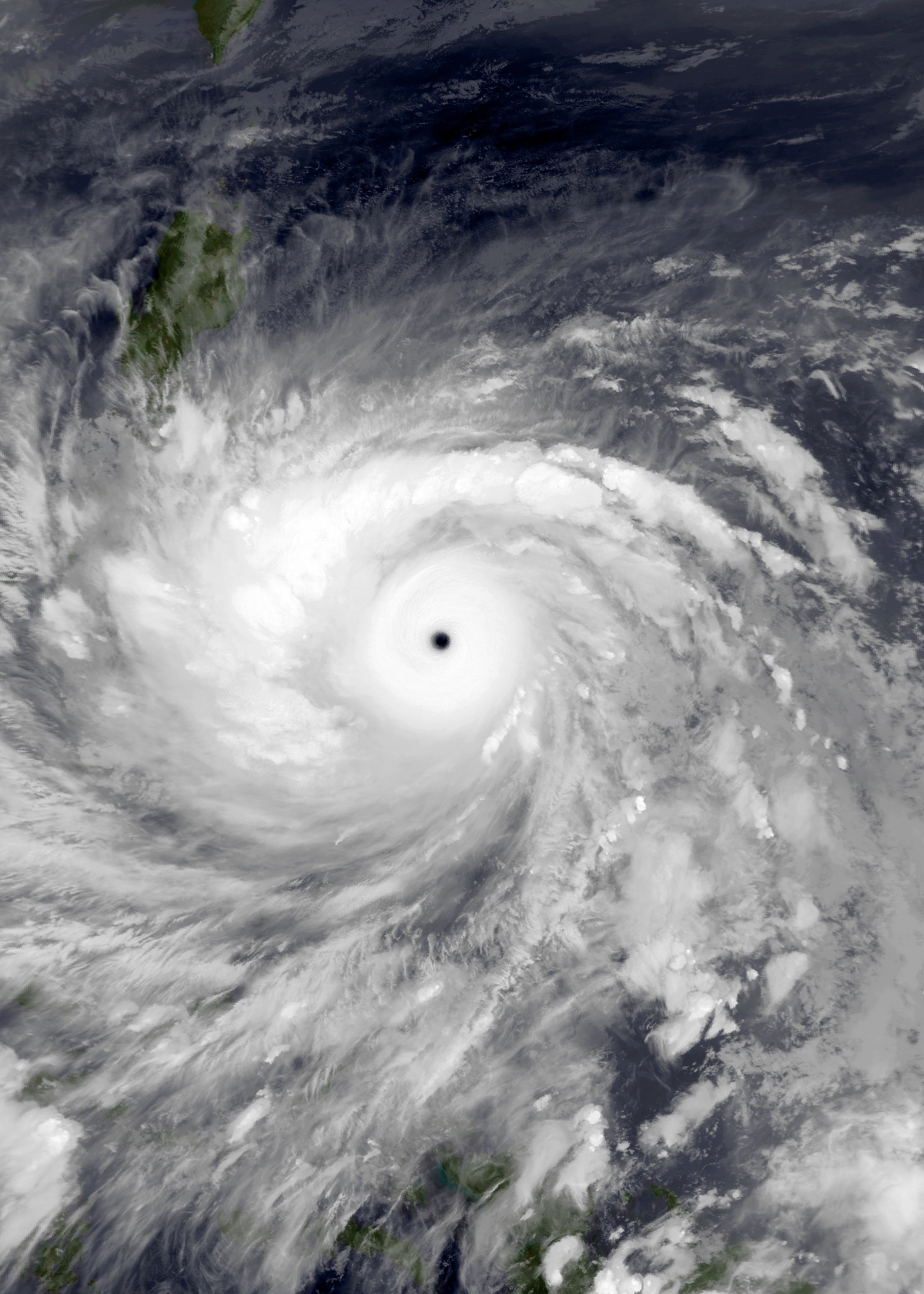 typhoon haiyan storm surge