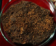 The Luttra Woman's stomach contents consisting of raspberry seeds Hallonflickan - Maginnehall - Falbygdens museum.jpg