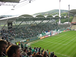 Sk Rapid Wien: Geschichte, Plätze und Stadien, Vereinsstruktur