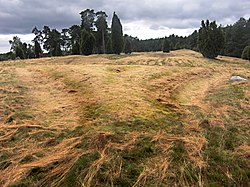 Skuggor förstärkta för att framhäva formen på treudden.