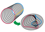 Thumbnail for File:Homotopy of pointed circle maps.png