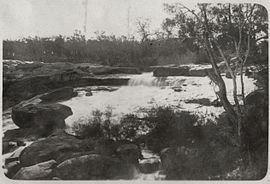 Hovea, Batı Avustralya, yakl. 1926.jpg