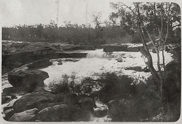 Hovea, Western Australia, ca. 1926.jpg