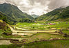 Batad rice terraces