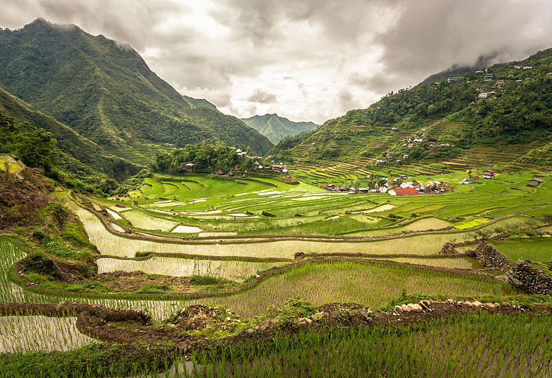 File:Inside the Batad rice terraces.jpg