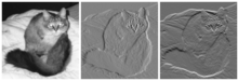 Left: Black and white picture of a cat. Center: The same cat, displayed in a gradient image in the x direction. Appears similar to an embossed image. Right: The same cat, displayed in a gradient image in the y direction. Appears similar to an embossed image.