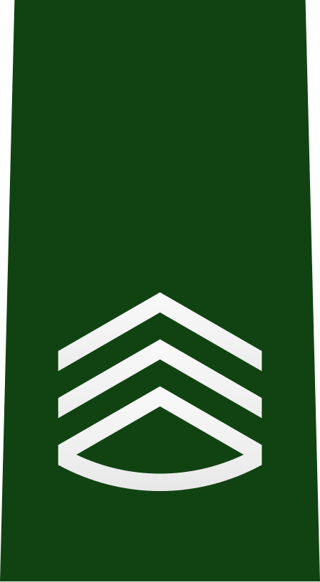 Tập_tin:JGSDF_Master_Sergeant_insignia_(b).svg