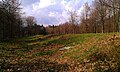 Early Neolithic Jacket's Field Long Barrow. [11]