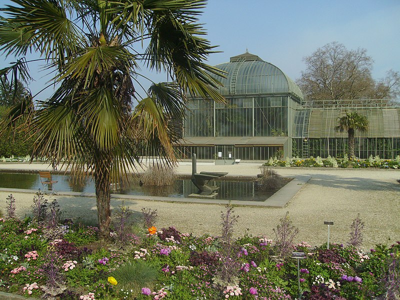 File:Jardin Botanique - Genève - panoramio (8).jpg