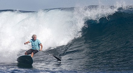 Professional windsurfing veteran Jürgen Hönscheid riding a wave in Hawaii