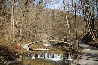 The village stream in its lower part