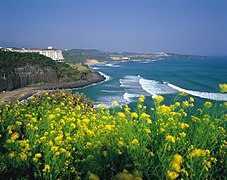 KOCIS Jeju Island (5983282510).jpg