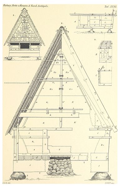 File:KUBARY(1895) 3.245 Tafel 31.jpg