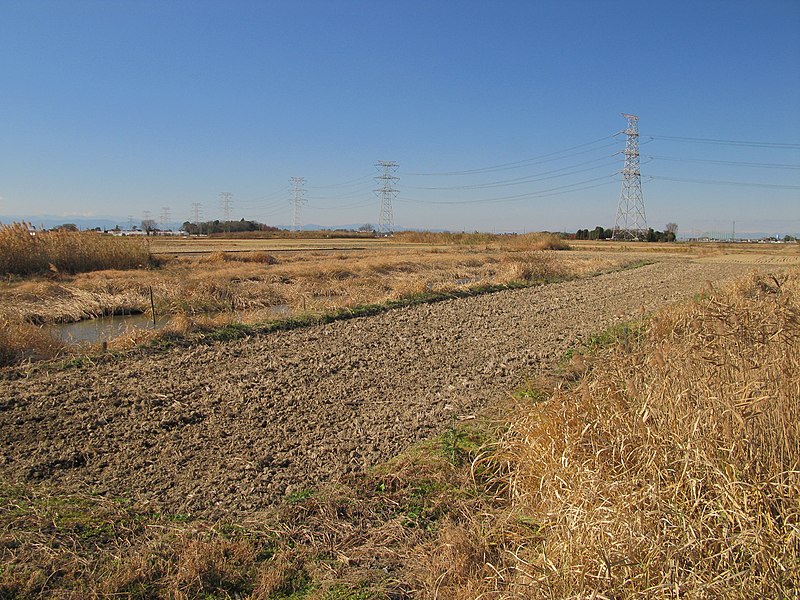 File:Kazo Horiage Field 1.JPG