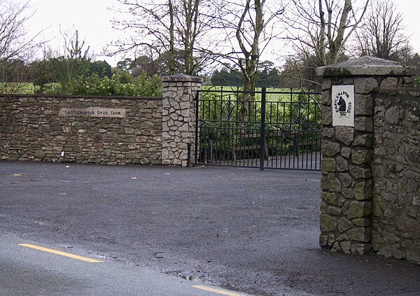 The entrance to Castlemartin Stud, on the Newbridge Road out from Kilcullen