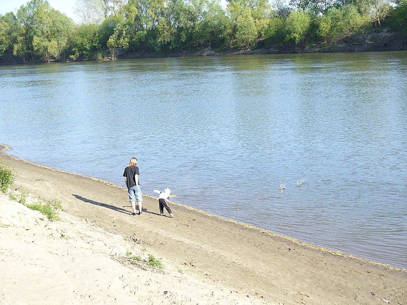 File:Kistárkány - Tisza - panoramio.jpg