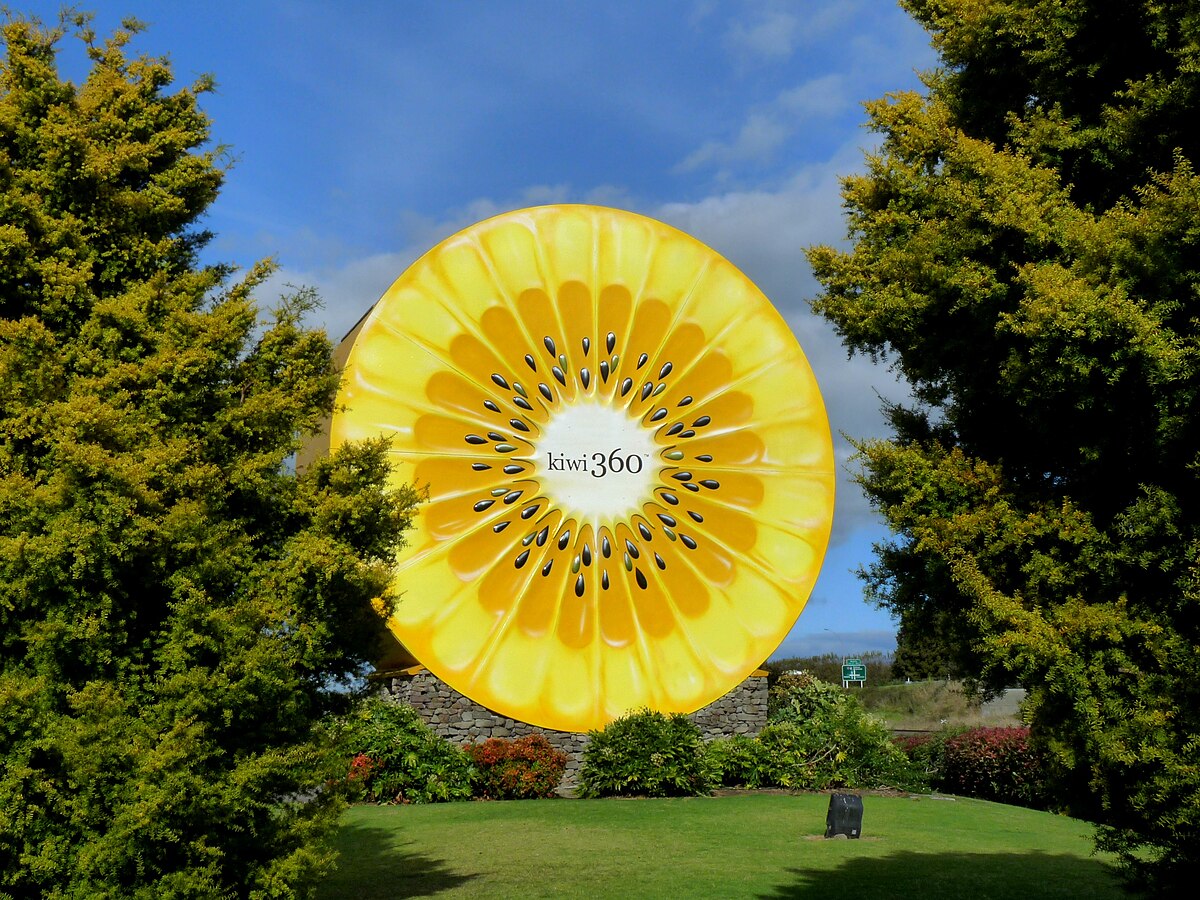 https://upload.wikimedia.org/wikipedia/commons/thumb/6/67/Kiwi360_Yellow.JPG/1200px-Kiwi360_Yellow.JPG