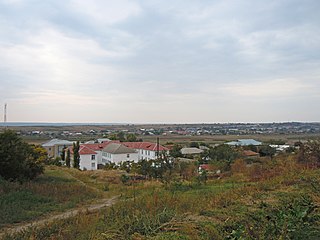 <span class="mw-page-title-main">Krynychne, Odesa Oblast</span> Village in Odesa Oblast, Ukraine