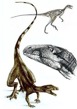 Lagosuchus