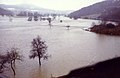 Alluvio anni 1984