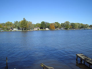 <span class="mw-page-title-main">Lake Shafer</span> Body of water