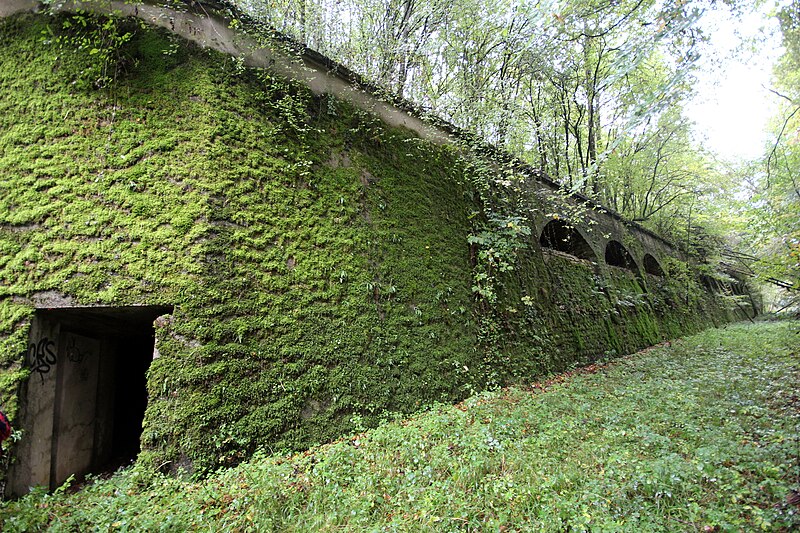 File:Le fossé entre le saillant I et II du fort de Dognevillle.jpg