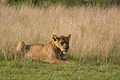 Queen Elizabeth National Park, Uganda