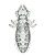 Paraneoptera