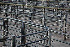 Livestock pens - geograph.org.uk - 1137932.jpg