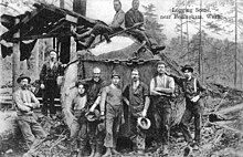 Lumberjacks near Bellingham, Washington, c. 1910 Logging Scene Near Bellingham, WA.jpg