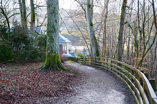 Lower path, Birks of Aberfeldy - geograph.org.uk - 4358799