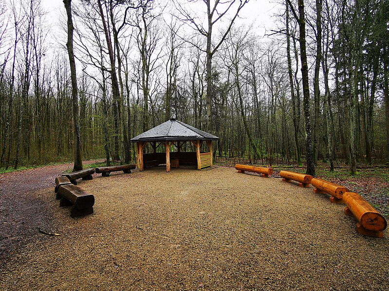 File:Luxembourg, cimetière forestier Cessange (103).jpg