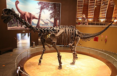 Camarasaurus