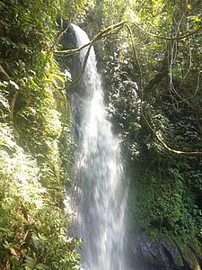 Malabsay falls at Mt. Isarog, Panicuason