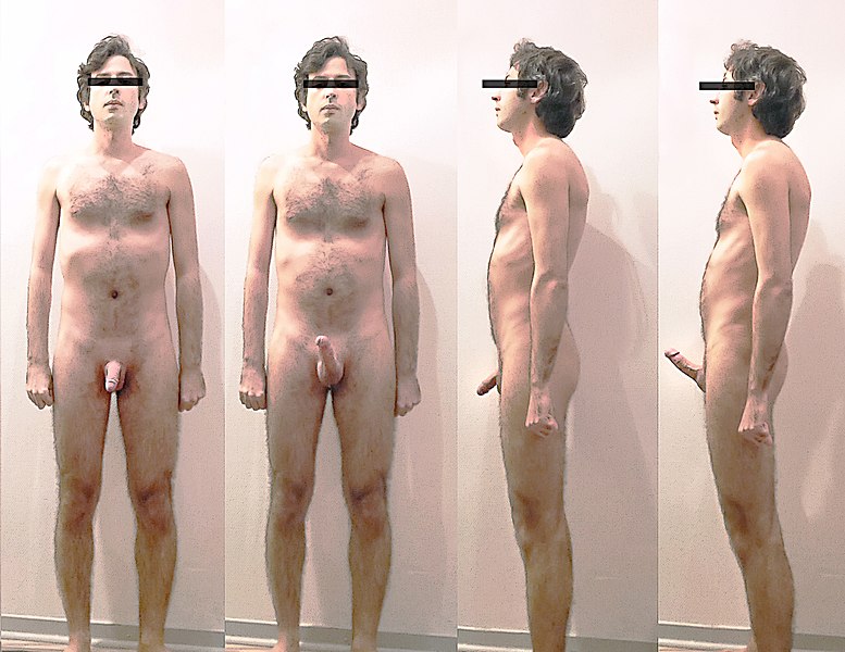 File:Male body erection study.jpg